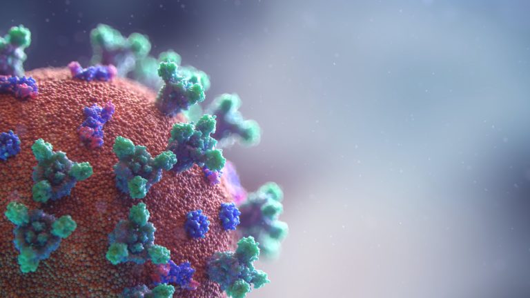 Coronavirus. La variante Delta fa crescere le nuove infezioni. Come proteggersi