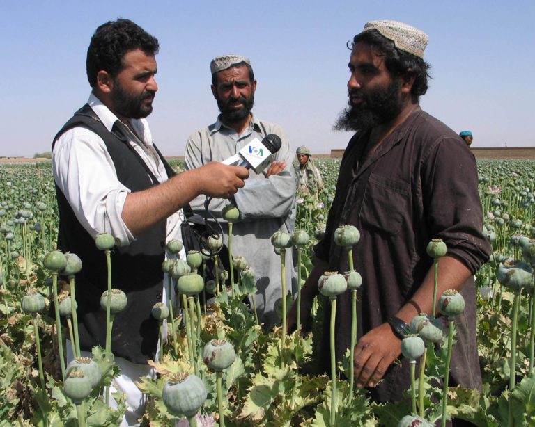 I talebani, la guerra santa e il traffico di droga