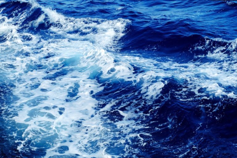 Gli oceani assorbono anidride carbonica e rilasciano ossigeno. Non vi sembra un buon motivo per proteggerli?